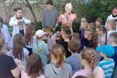 Волонтерський тиждень