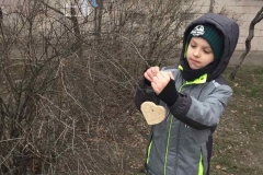 Пташина їдальня